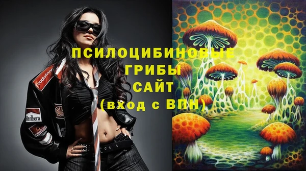 крисы Арсеньев