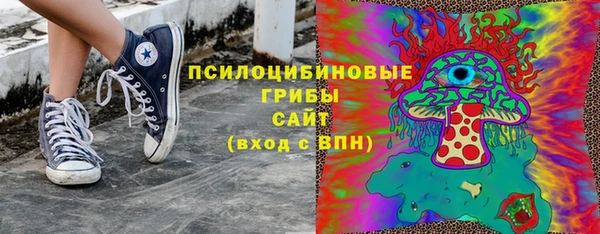 крисы Арсеньев