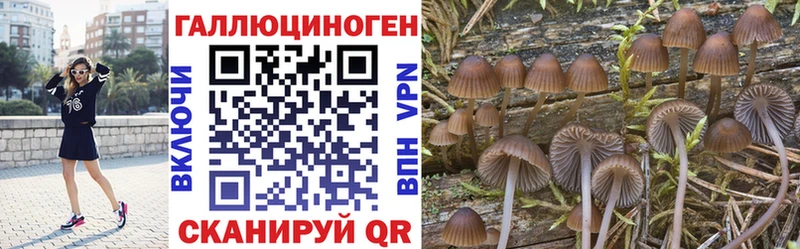 Галлюциногенные грибы ЛСД  продажа наркотиков  Тайшет 